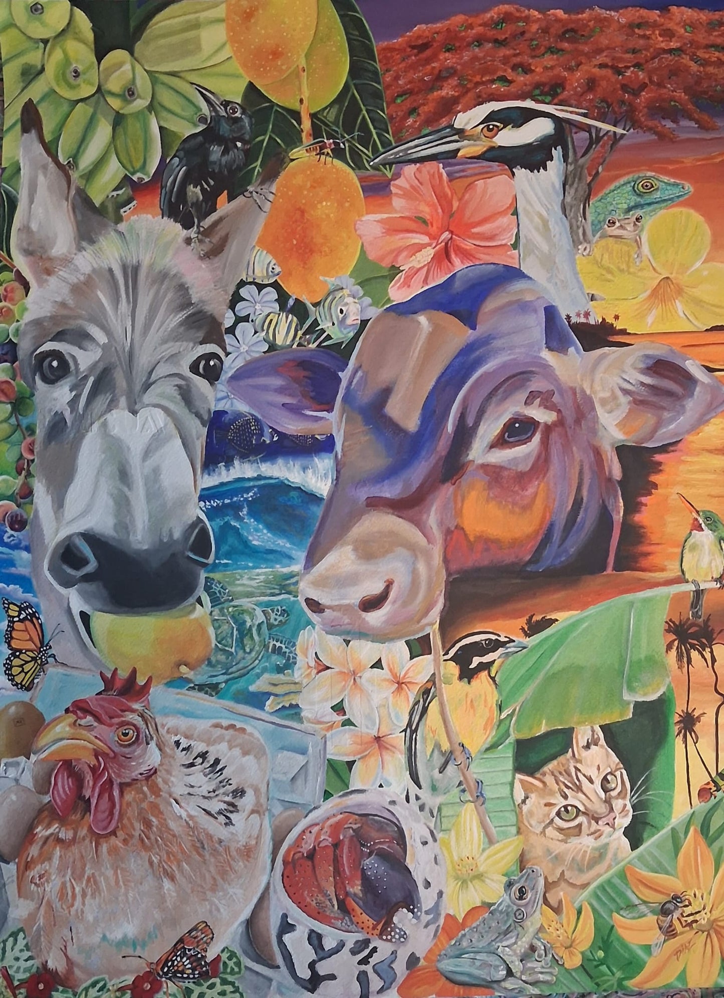 Flora y Fauna